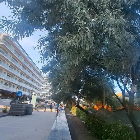 Langa Mare * Navodari