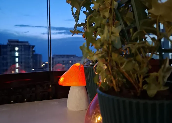 Langa Mare Năvodari